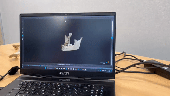 生成完整的骨骼3D数据模型