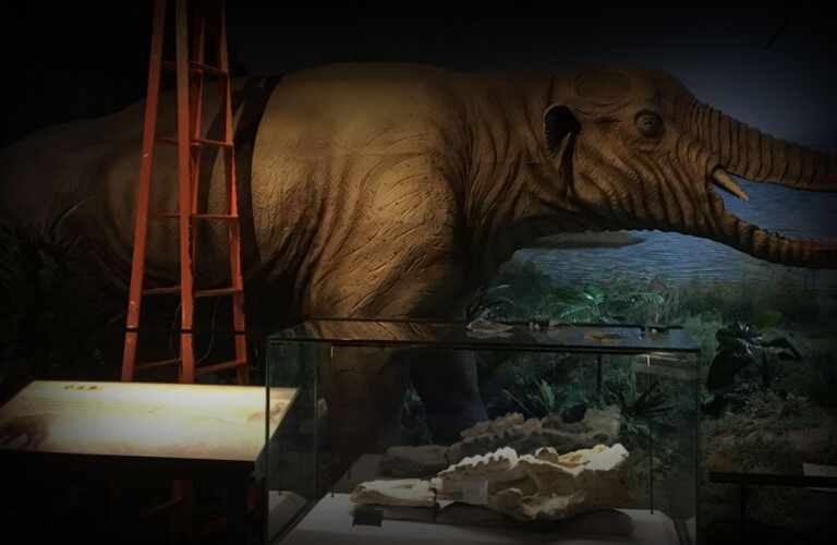 4.3d Processus de reconstruction et résultats