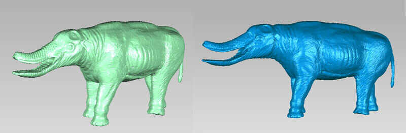 Scanning Object: Platybelodon