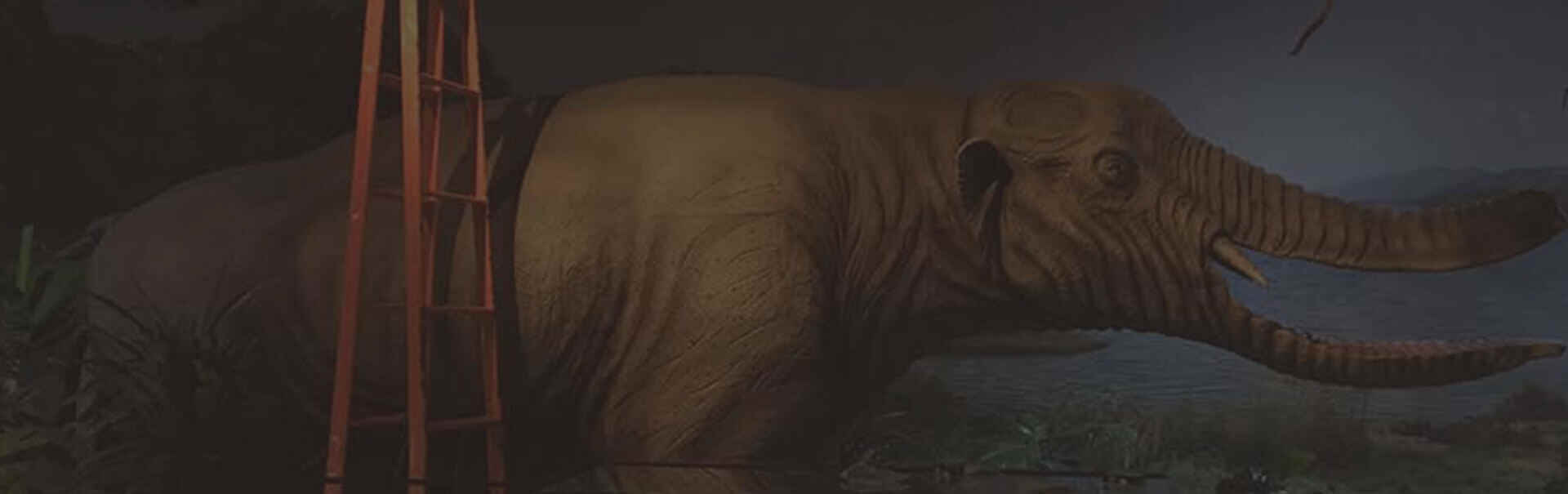 Tour di ricostruzione 3d del Museo Ningxia